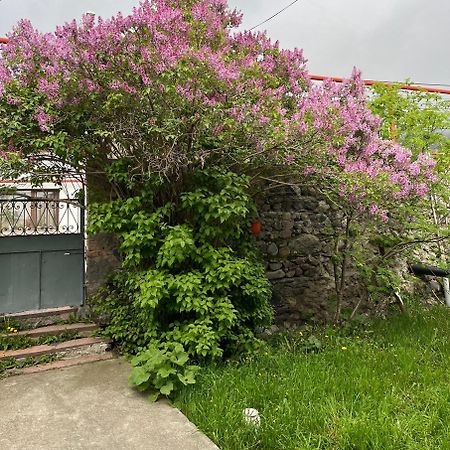 Soso Burduli'S Guesthouse Kazbegi Exterior photo