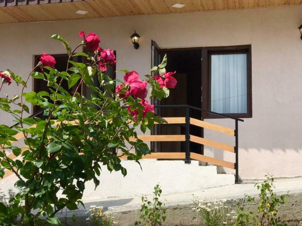 Soso Burduli'S Guesthouse Kazbegi Exterior photo